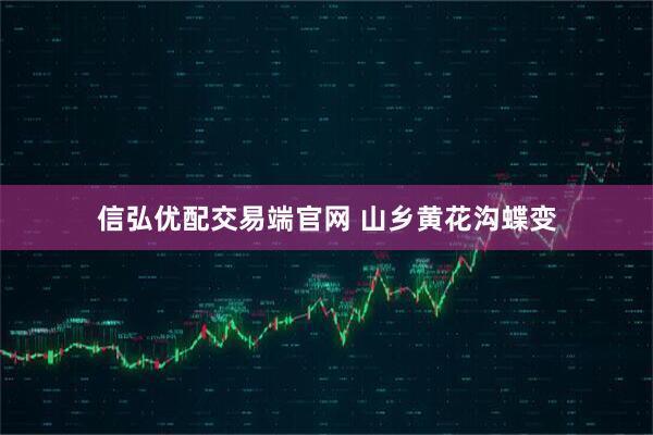 信弘优配交易端官网 山乡黄花沟蝶变